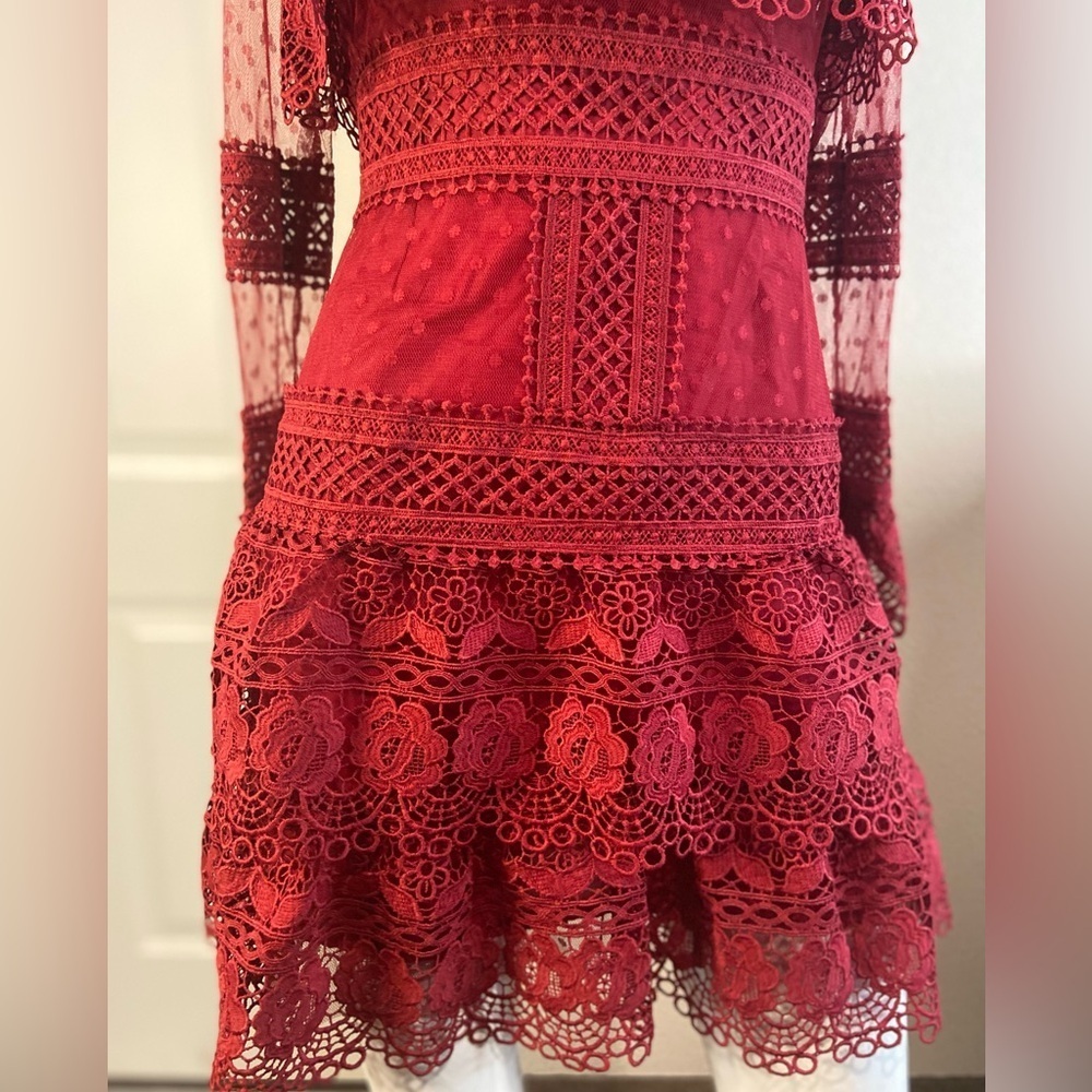 L & F~NWT~Lovely~Tiered Ruffle~Sheer Netting~Embroidered Lace~Mini Dress~Size S - Picture 5 of 15